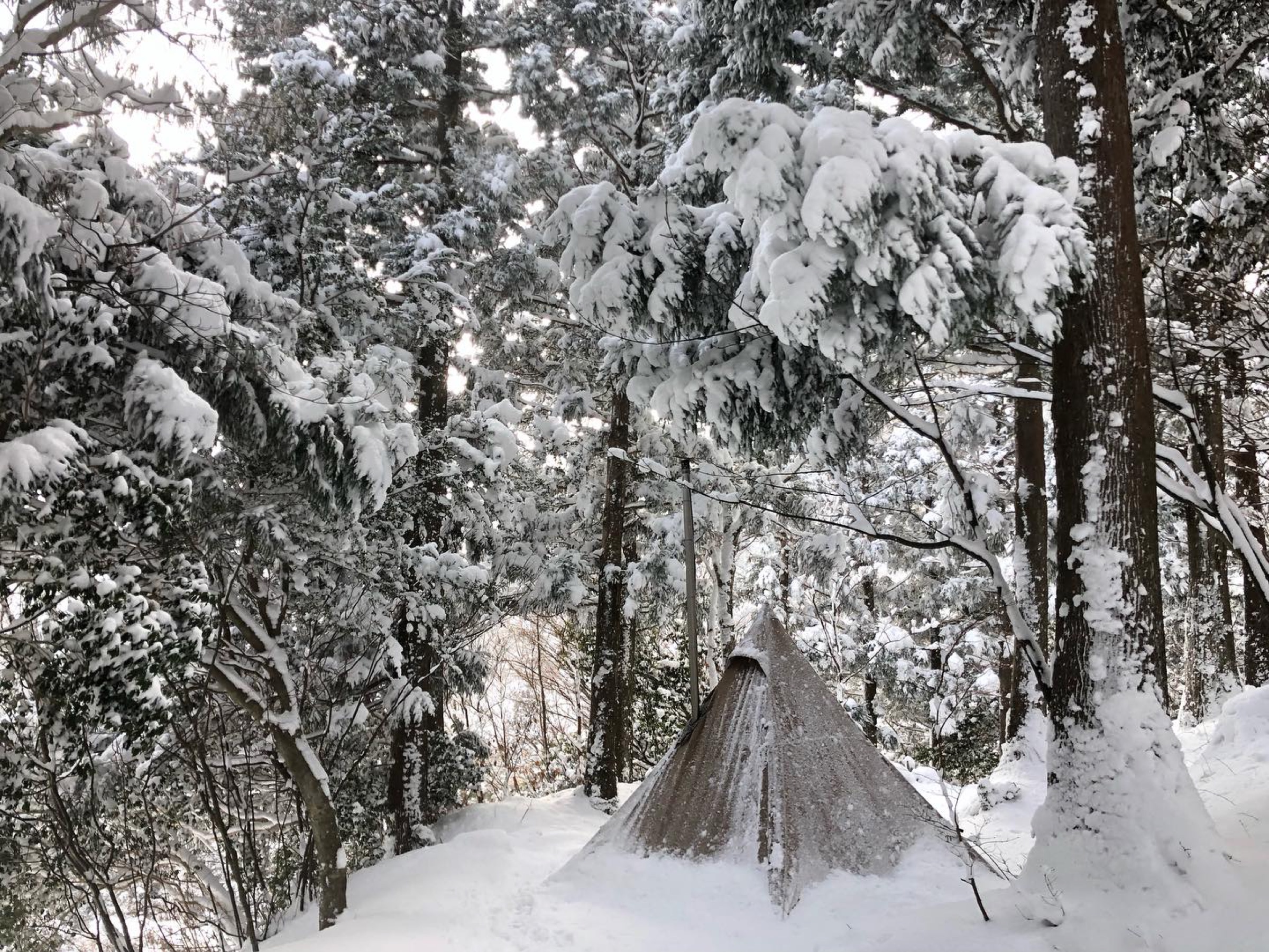 雪に包まれた岳人の森